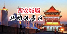 老妇的骚逼中国陕西-西安城墙旅游风景区