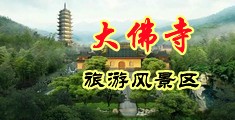 强奸美女视频网站高清w中国浙江-新昌大佛寺旅游风景区